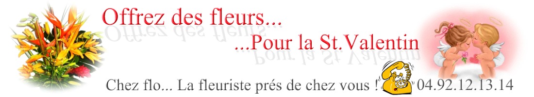 banniere de site 2