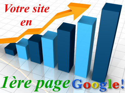 exemples referencement site